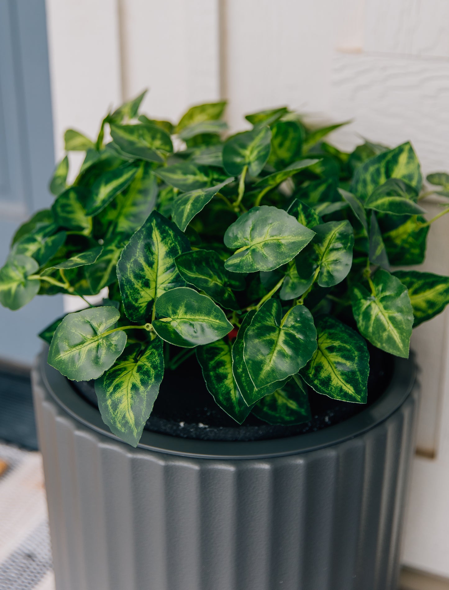 Greenery Bundle Set