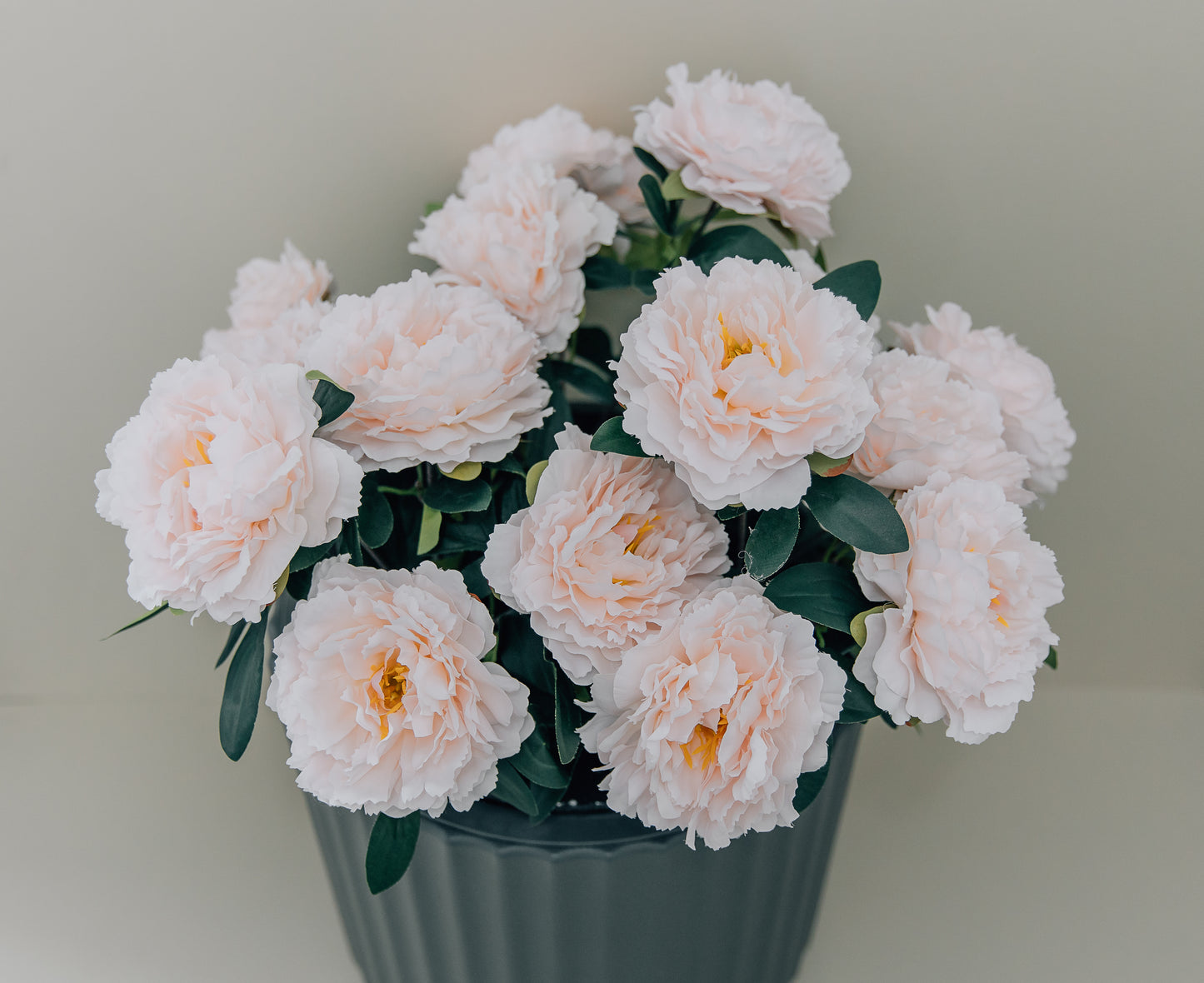 Peony Bundle Set