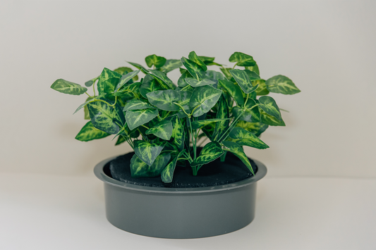 Embrace Nature’s Calm with the Greenery Bundle Set from Bloomy Baby