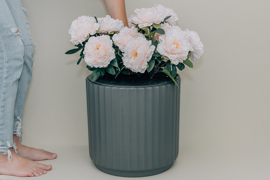Discover the Peony Lid: A Beautiful Solution for Modern Families | Bloomy Baby