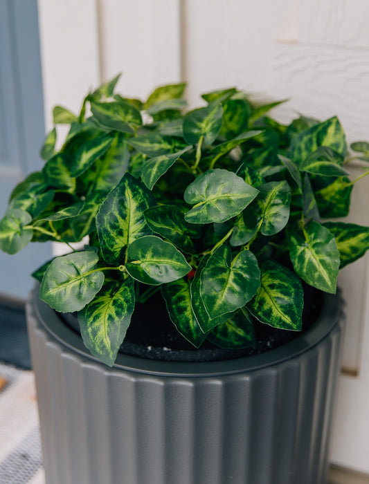 Greenery Lid