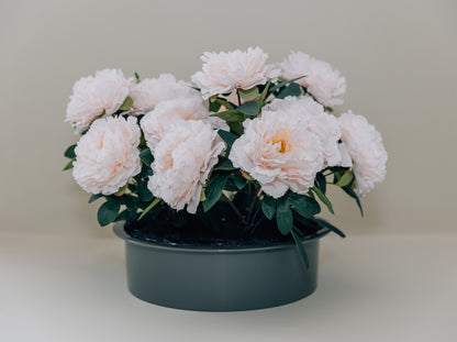 Peony Lid